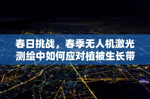 春日挑战，春季无人机激光测绘中如何应对植被生长带来的挑战？