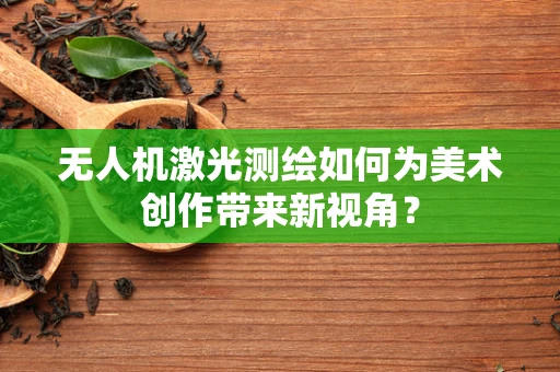 无人机激光测绘如何为美术创作带来新视角？