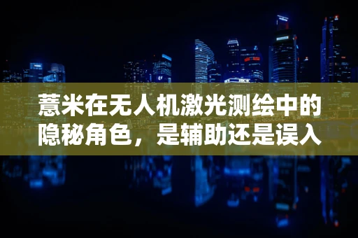 薏米在无人机激光测绘中的隐秘角色，是辅助还是误入？
