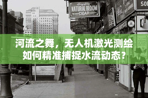河流之舞，无人机激光测绘如何精准捕捉水流动态？