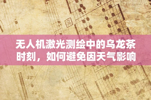无人机激光测绘中的乌龙茶时刻，如何避免因天气影响导致的测量误差？