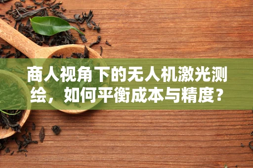 商人视角下的无人机激光测绘，如何平衡成本与精度？