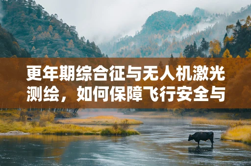 更年期综合征与无人机激光测绘，如何保障飞行安全与数据精度？