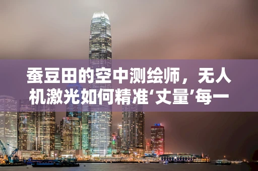 蚕豆田的空中测绘师，无人机激光如何精准‘丈量’每一粒成长？