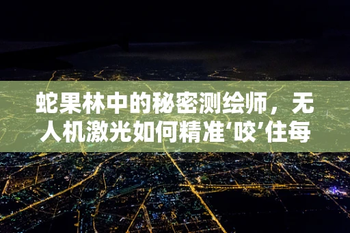 蛇果林中的秘密测绘师，无人机激光如何精准‘咬’住每一颗果树？