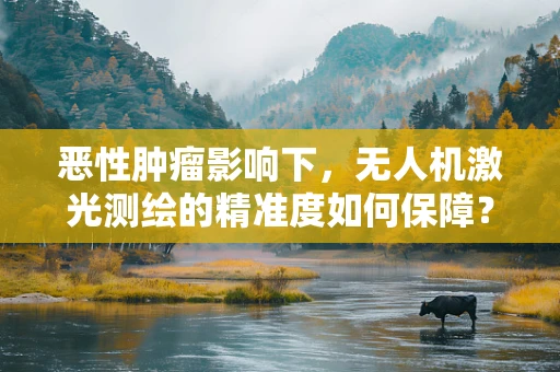 恶性肿瘤影响下，无人机激光测绘的精准度如何保障？