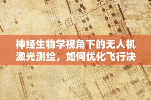 神经生物学视角下的无人机激光测绘，如何优化飞行决策？