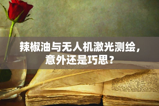辣椒油与无人机激光测绘，意外还是巧思？