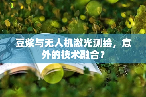 豆浆与无人机激光测绘，意外的技术融合？