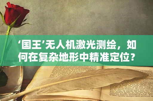 ‘国王’无人机激光测绘，如何在复杂地形中精准定位？