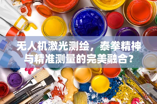无人机激光测绘，泰拳精神与精准测量的完美融合？