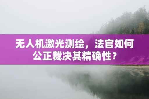 无人机激光测绘，法官如何公正裁决其精确性？