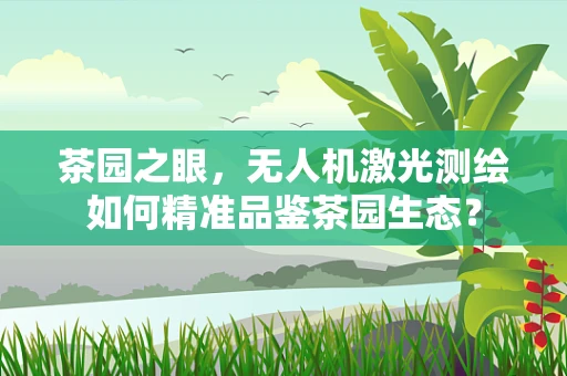 茶园之眼，无人机激光测绘如何精准品鉴茶园生态？