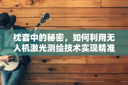 枕套中的秘密，如何利用无人机激光测绘技术实现精准定位？