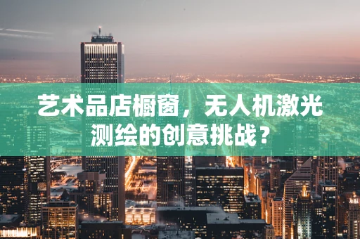 艺术品店橱窗，无人机激光测绘的创意挑战？