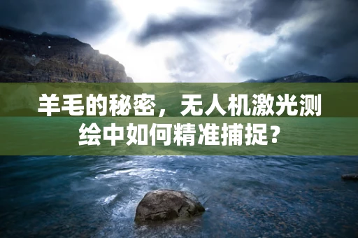 羊毛的秘密，无人机激光测绘中如何精准捕捉？