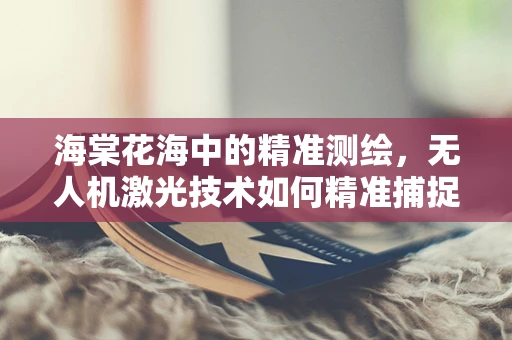 海棠花海中的精准测绘，无人机激光技术如何精准捕捉细节？