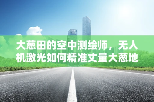 大葱田的空中测绘师，无人机激光如何精准丈量大葱地界？