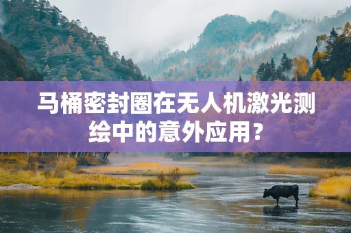 马桶密封圈在无人机激光测绘中的意外应用？