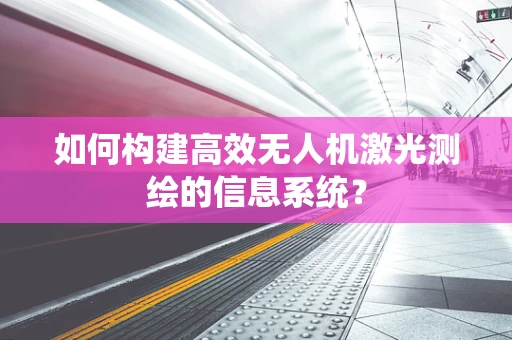 如何构建高效无人机激光测绘的信息系统？