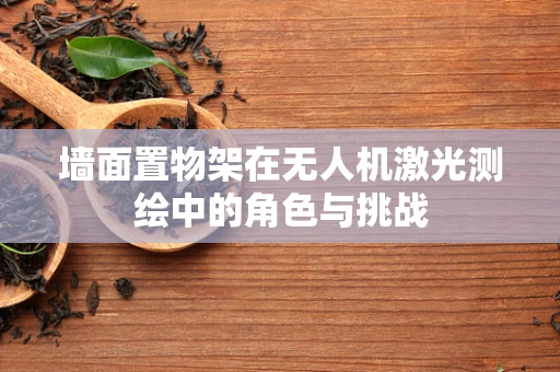 墙面置物架在无人机激光测绘中的角色与挑战