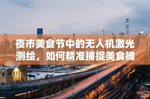 夜市美食节中的无人机激光测绘，如何精准捕捉美食摊位的热闹景象？