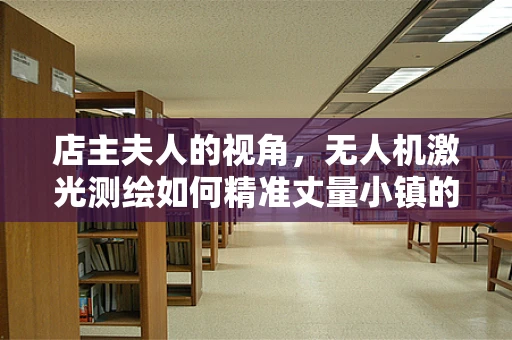店主夫人的视角，无人机激光测绘如何精准丈量小镇的每一寸土地？