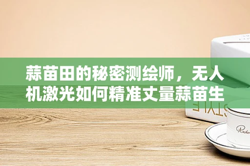 蒜苗田的秘密测绘师，无人机激光如何精准丈量蒜苗生长？
