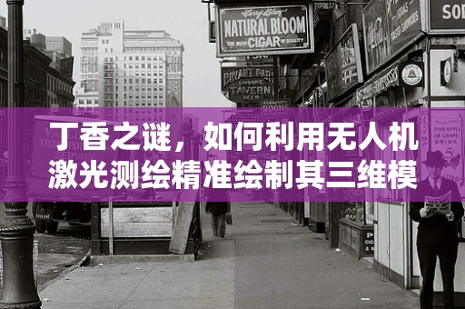 丁香之谜，如何利用无人机激光测绘精准绘制其三维模型？