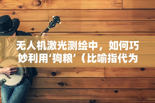 无人机激光测绘中，如何巧妙利用‘狗粮’（比喻指代为无人机飞行过程中的辅助定位技术）提高测绘精度？