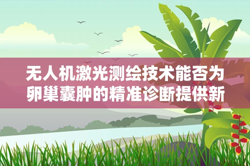 无人机激光测绘技术能否为卵巢囊肿的精准诊断提供新视角？