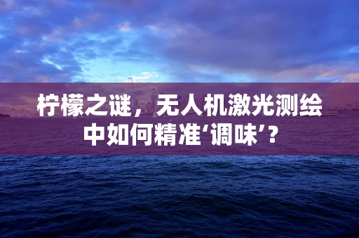 柠檬之谜，无人机激光测绘中如何精准‘调味’？