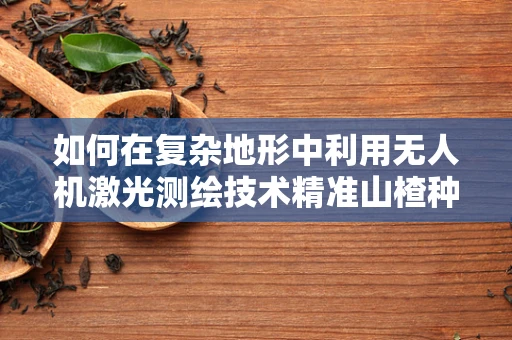 如何在复杂地形中利用无人机激光测绘技术精准山楂种植区域？