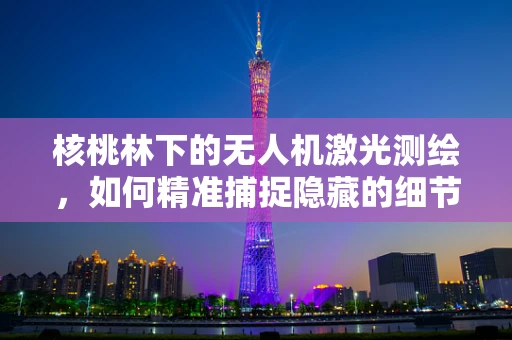 核桃林下的无人机激光测绘，如何精准捕捉隐藏的细节？