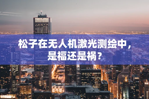 松子在无人机激光测绘中，是福还是祸？