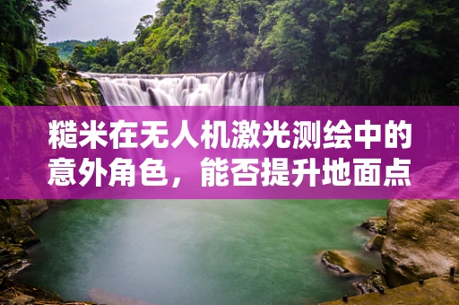 糙米在无人机激光测绘中的意外角色，能否提升地面点云数据精度？