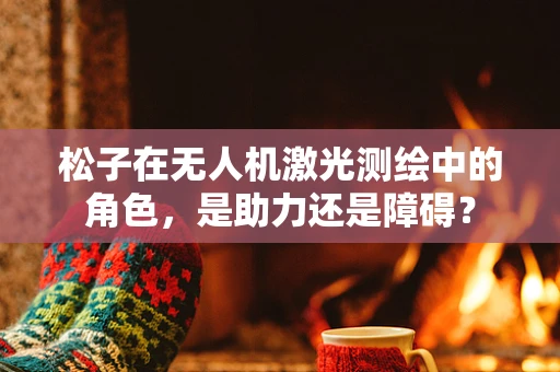松子在无人机激光测绘中的角色，是助力还是障碍？