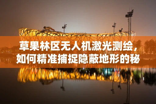 草果林区无人机激光测绘，如何精准捕捉隐蔽地形的秘密？