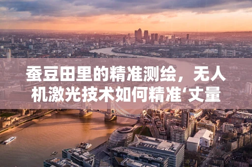 蚕豆田里的精准测绘，无人机激光技术如何精准‘丈量’每一粒种子？