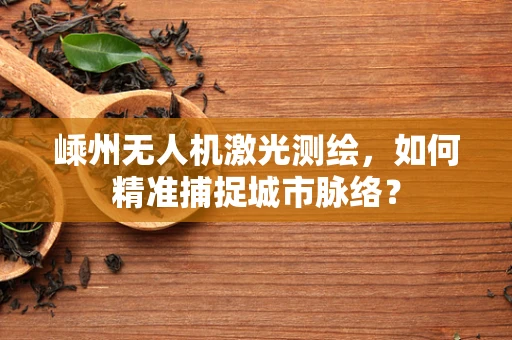 嵊州无人机激光测绘，如何精准捕捉城市脉络？