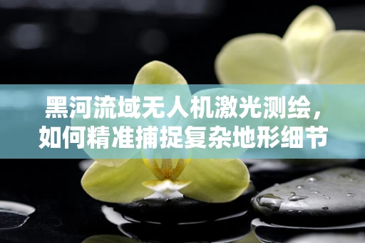 黑河流域无人机激光测绘，如何精准捕捉复杂地形细节？