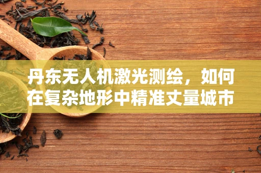 丹东无人机激光测绘，如何在复杂地形中精准丈量城市？