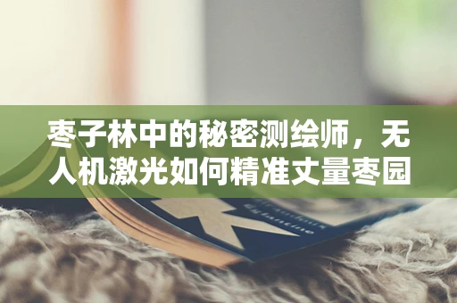 枣子林中的秘密测绘师，无人机激光如何精准丈量枣园？