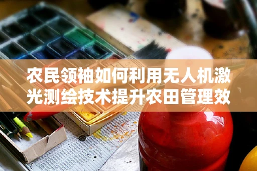 农民领袖如何利用无人机激光测绘技术提升农田管理效率？