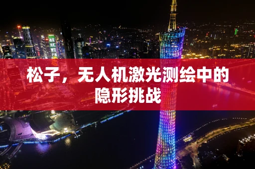 松子，无人机激光测绘中的隐形挑战