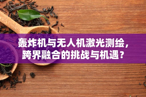 轰炸机与无人机激光测绘，跨界融合的挑战与机遇？