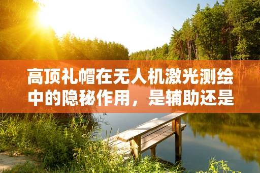 高顶礼帽在无人机激光测绘中的隐秘作用，是辅助还是干扰？