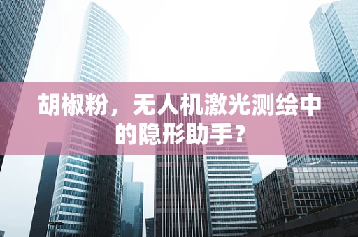 胡椒粉，无人机激光测绘中的隐形助手？