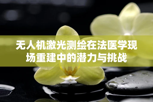 无人机激光测绘在法医学现场重建中的潜力与挑战