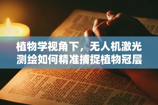 植物学视角下，无人机激光测绘如何精准捕捉植物冠层结构？